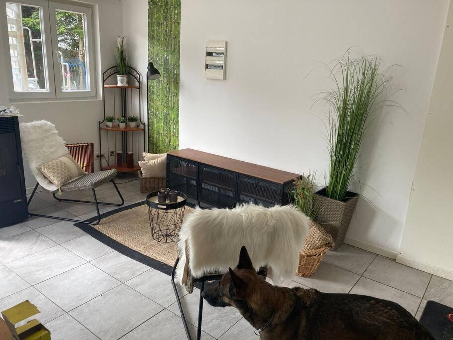 Perle De Coton Pour Duo De Charme Apartment Anhee ภายนอก รูปภาพ